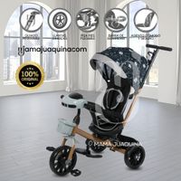 Triciclo Guiador con Bluetooth para Niños «ROY» Gray