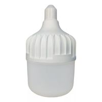 FOCO LED BOTELLA LUMIERE LBT360 60W TRILUX