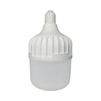 FOCO LED BOTELLA LUMIERE LBT340 40W TRILUX