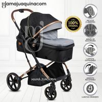 Coche Cuna Moisés de Lujo «SATURN ULTRA» Gris