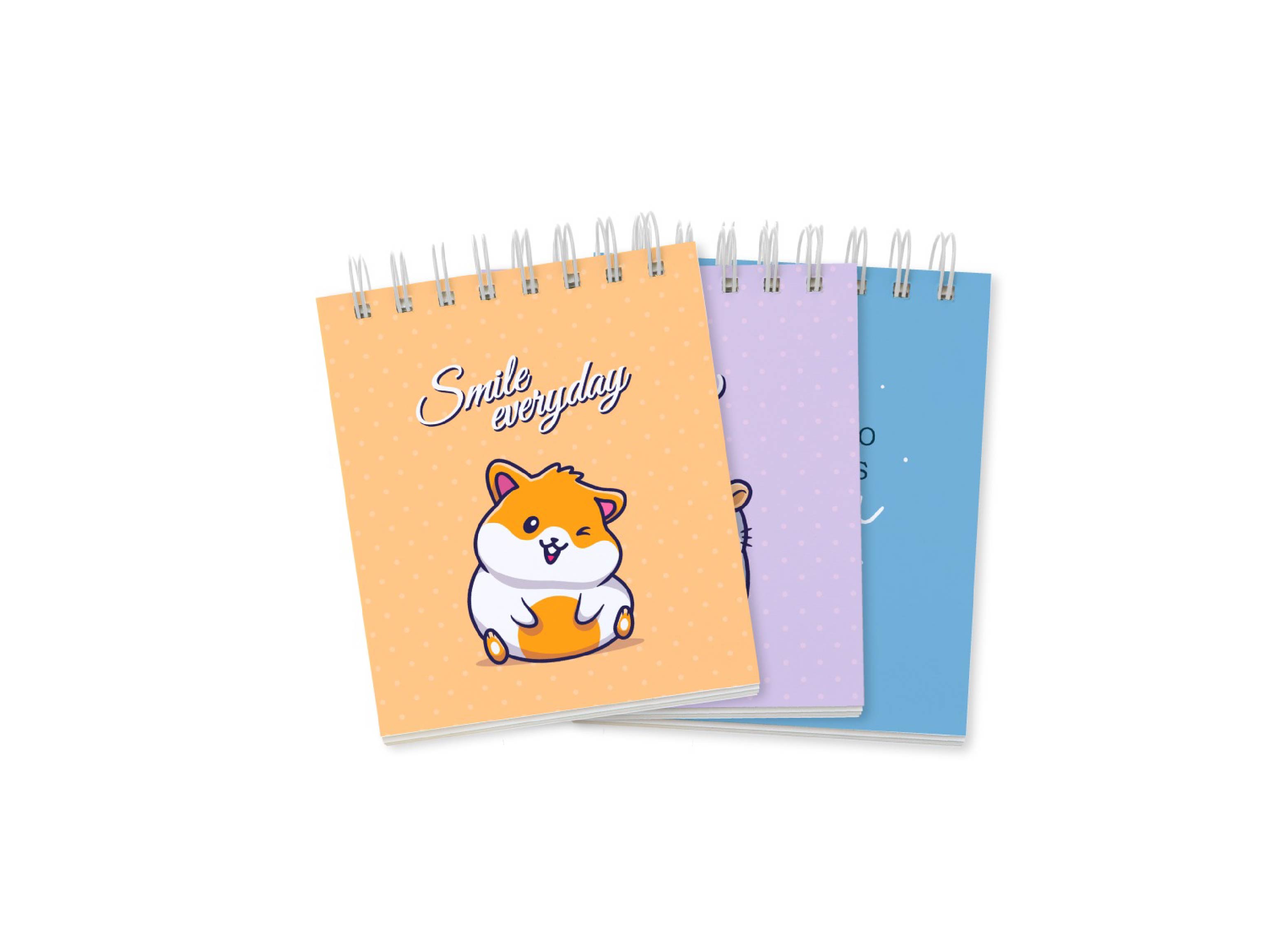 Set de libretas Ingenial Smile x 3 unds.