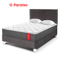 Juego de Dormitorio Paraíso Su Majestad 2 Plazas Acero + 2 almohadas + protector