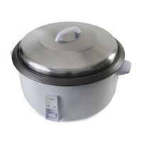Olla arrocera RC930 9Litros