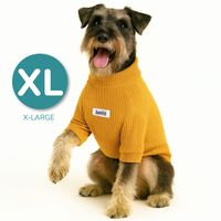 Cafarena Golden Vibes - XL