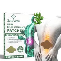 Parches Terapéuticos para Dolor de Espalda