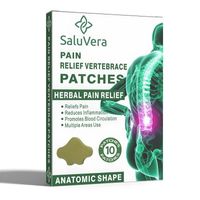 Set de 10 Parches Aliviadores para Dolor de Espalda y Musculares