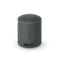 Sony Parlante Bluetooth SRS-XB100 Portátil Waterproof Negro (MO)