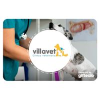 Gift Card Villavet S/200 - 13504