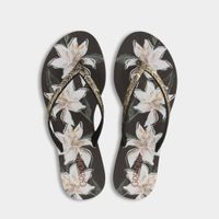 Sandalias Playeras Grendha Mujeres 2Gdd8600004