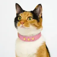 Collar para gatos Estrella Miau – Rosado
