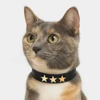 Collar para Gatos Estrella Miau – Negro