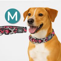 Collar para Perros - Premium Leopard M