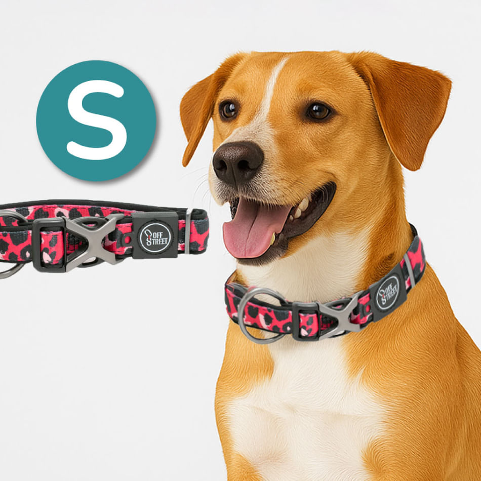 Collar para Perros - Premium Leopard S