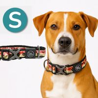 Collar para Perros - Premium Camouflage - S