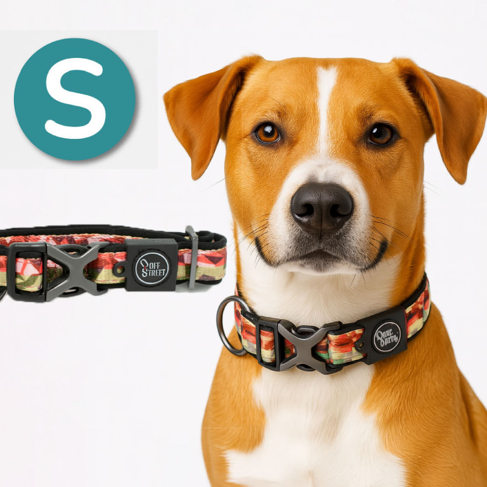 Collar para Perros - Premium Camouflage - S