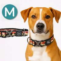 Collar para Perros - Premium Camouflage M