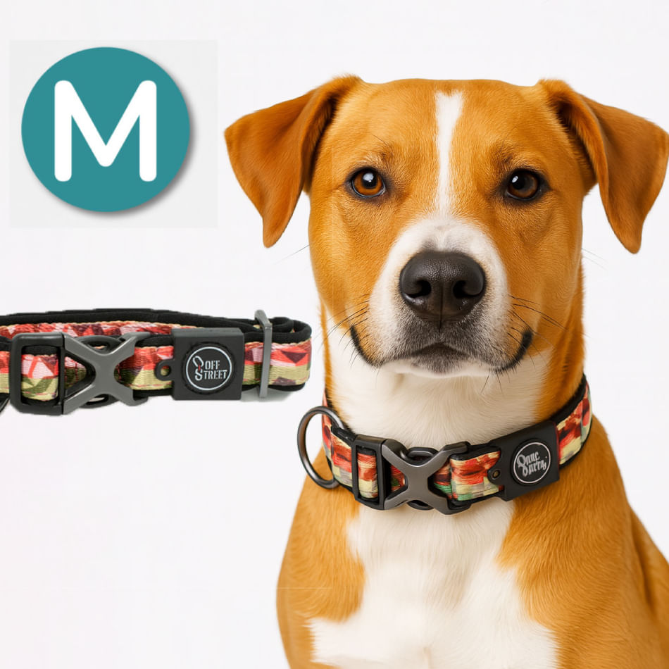 Collar para Perros - Premium Camouflage M