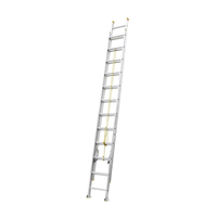 Escalera Telescopica Aluminio 20 Pasos Werken