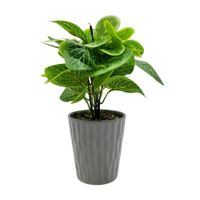 Planta Artificial Orange con Maceta Gris