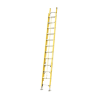 Escalera Telescopica Fibra de Vidrio 20 Pasos Werken
