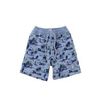 Ropa de Baño Para Niño Poliester Loitz Azul Hush Puppies Kids