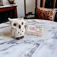 PACK WAX MELTS PERFUMADA MAS HORNITO QUEMADOR BUHO 2