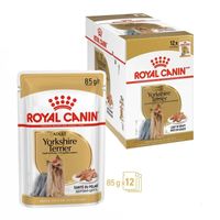 Paté Royal Canin BHN para Perros Yorkshire Adulto 12x85gr
