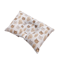 Almohadita Anticabeza Plana Hipoalergénica Maternelle - Modelo Beige Ositos