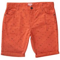 Shorts/Bermudas Estampado Niño EUREKA