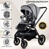 Coche de Paseo «CONNY» Edición Limitada Gris