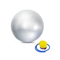 Pelota De Yoga - Pilates 65 Cm Importada C/ Inflador Plomo