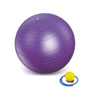 Pelota De Yoga - Pilates 65 Cm Importada C/ Inflador Morado