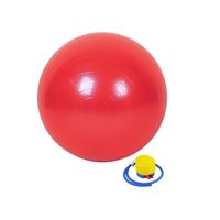Pelota De Yoga - Pilates 75 Cm Importada C/ Inflador Rojo