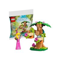 LEGO Disney Auroras Forest Playground 30671