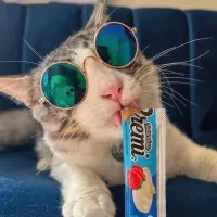 Snack para Gato Cremi Box Mix De Pollo Pack 60 Tubos Variados
