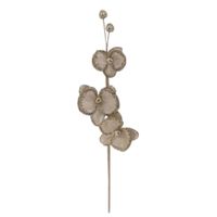 Rama Flores Champagne 57 Cm