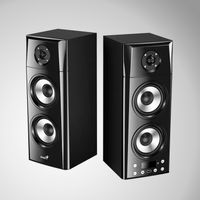 Parlante Genius SP-HF2800BT USB Power 60W Wood