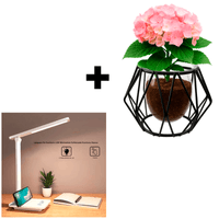 Set Hogar Moderno Macetero Nórdico Negro + Lámpara USB Touch Blanca