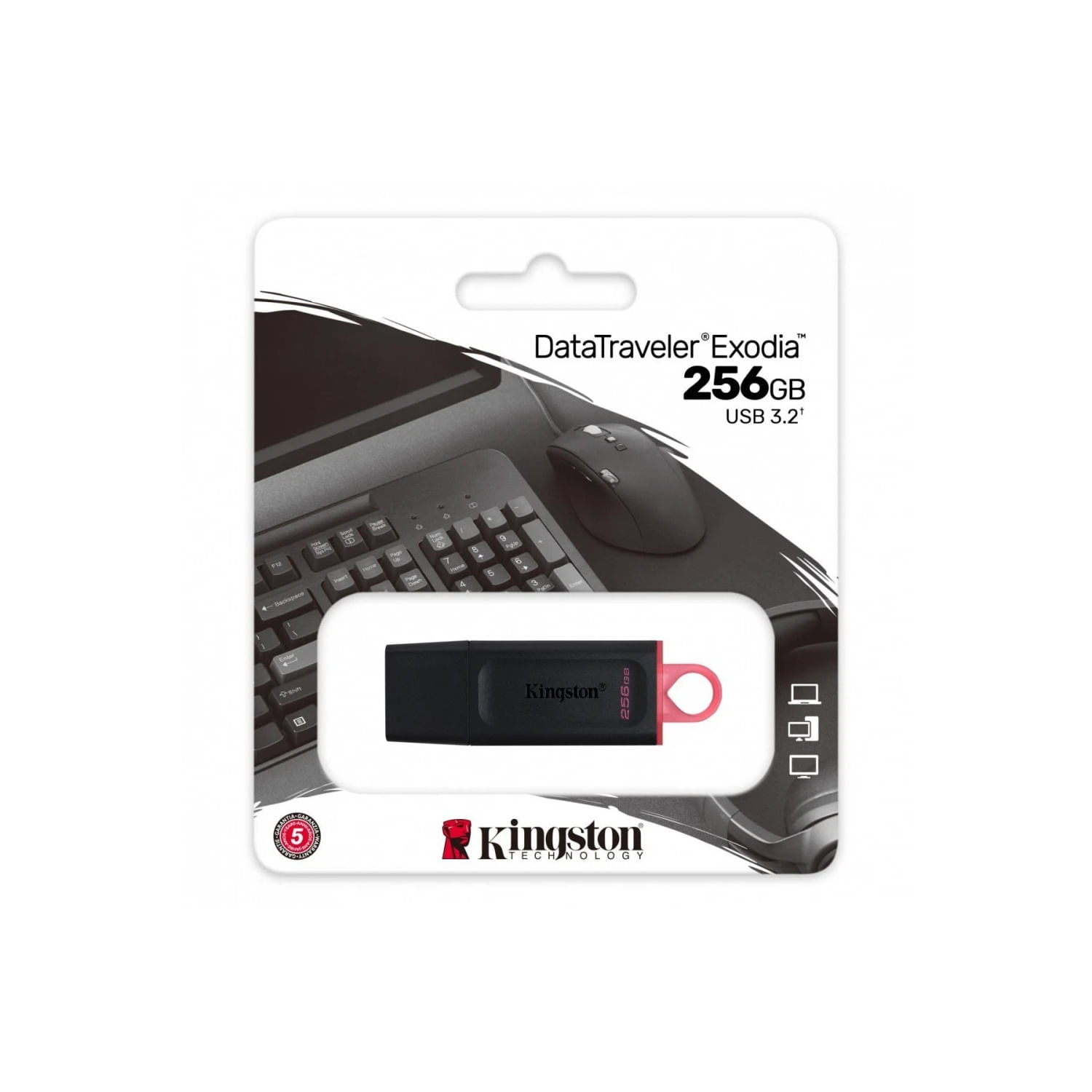 Memoria USB Kingston Exodia 256 GB Black