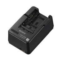 Cargador Sony BC-QM1 (Original)