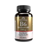 VITAMINA B6 100MG 100 TABLETAS - WINDMILL