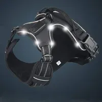 Arnés para perros LED Negro Small
