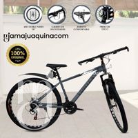 Bicicleta Deportiva Aro 26 «LINEAL VORTEX» Gris