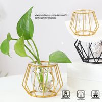 Macetero Nórdico Florero para Decoración del Hogar Minimalista Dorado