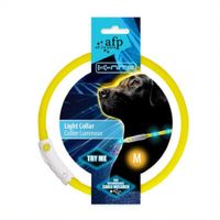 Collar para Perro - Led Recargable M