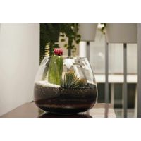 Terrario Tropical Caetana