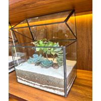TERRARIO TROPICAL GREENHOUSE