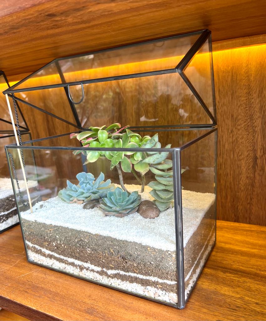 TERRARIO TROPICAL GREENHOUSE