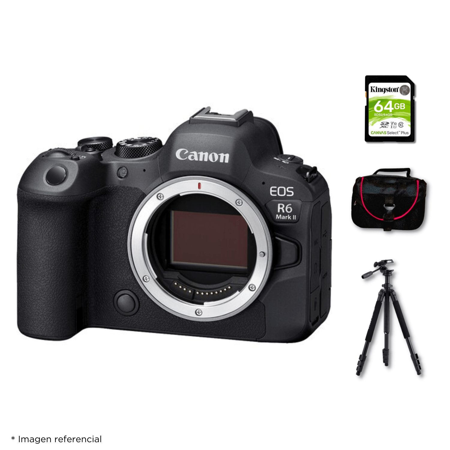 Cámara Canon EOS R6 Mark II Cuerpo Solo + Kit Deluxe