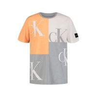 Polo Manga Corta Calvin Klein Fashion Infantil Talla 8